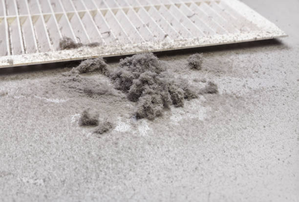 Best General Air Duct Cleaning  in Mcgaheysville, VA