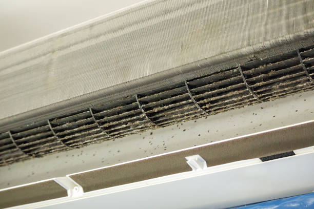  Mcgaheysville, VA Airduct Cleaning Pros